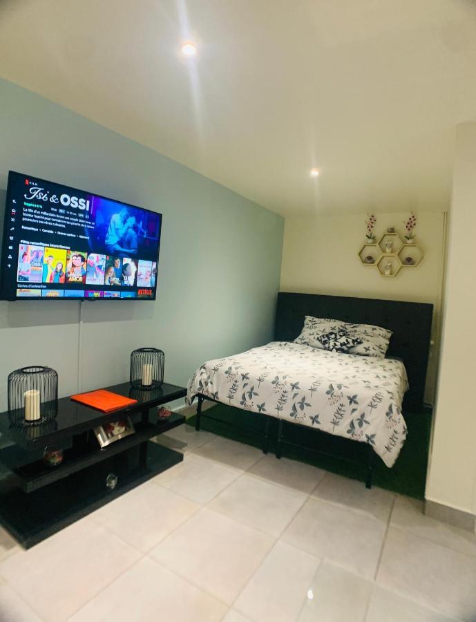 Cosy Proche Roissy Cdg Asterix Disneyland Paris Apartment *